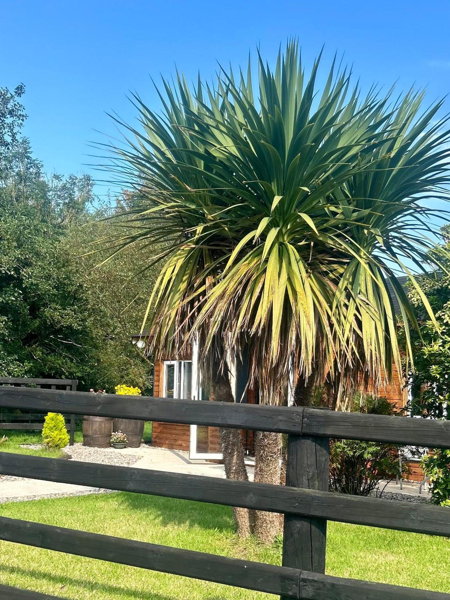 Vila Omagh Sixmilecross Exteriér fotografie